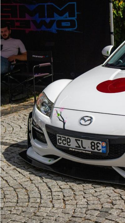 Hail damaged bonnet before